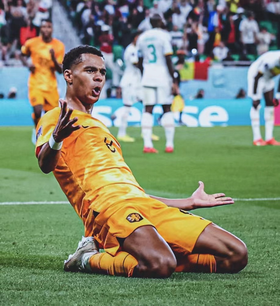 平博APP-欧洲杯荷兰队vs奥地利队