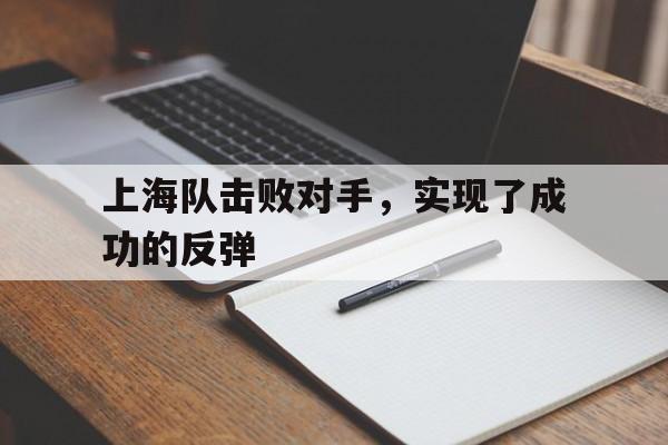 平博APP-上海队打败了北京队获得了冠军加标点
